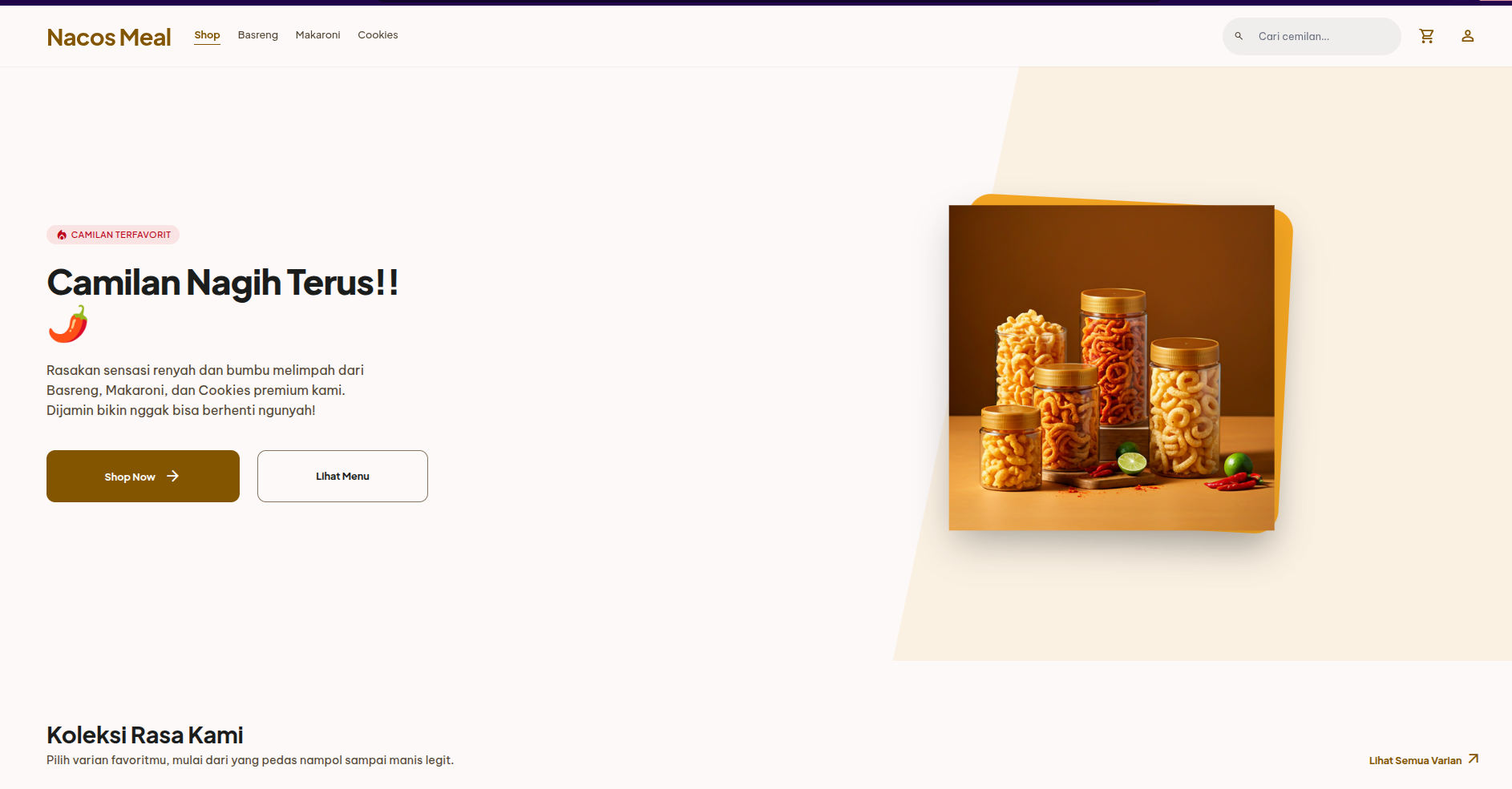 Website Ecommerce